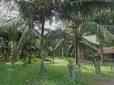 Land for Sale - Kalutara