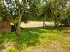 Land for Sale Kalutara