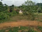 Land for sale |Kalutara South | 380 Perches