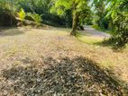 Land for Sale Kalutara South