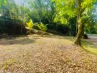 Land for Sale Kalutara South