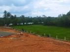 Land for Sale Kalutara, Wadduwa, Uggalboda. (ID : WADU002)