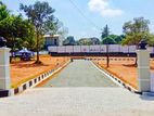 Land for Sale Kaluthara