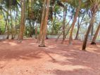 Land for Sale Kaluthara