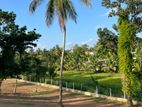 Land for Sale - Kaluthara