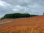 Land For Sale Kaluthara