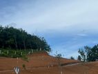 Land For Sale Kaluthara