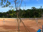 Land For Sale Kaluthara