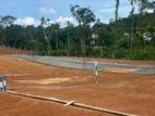 Land for Sale Kaluthara South
