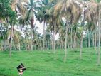 Land for Sale Kamburugamuwa