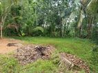 Land For Sale - Kamburupitiya