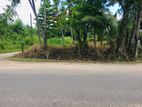 Land for Sale in Kamburupitiya