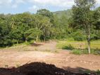 Land for Sale Kanangamuwa Matale