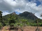 Land for Sale Kandalama