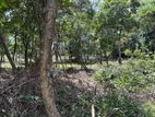Land for Sale Kandalama