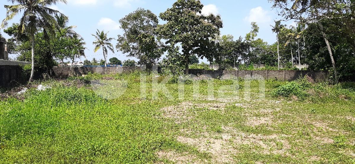 Land for Sale Kandana (C7-3216) | ikman