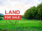 Land for sale - kandana
