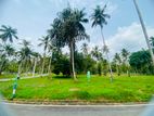 Land For Sale Kandana