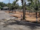 Land for Sale Kandana