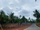 land for sale kandana