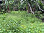 Land For Sale Kandana Town