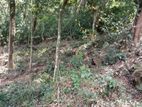 Land for Sale in Digana