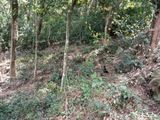 Land for Sale in Digana