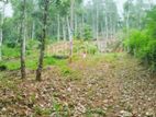 Land for sale Kandy - අක්කරයක ඉඩමක් නුවර