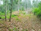 Land for Sale Kandy