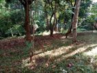 Land for Sale Kandy