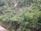 Land for Sale Kandy