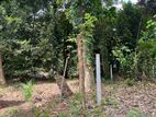 Land for Sale Kandy