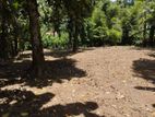 Land For Sale Kandy