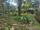 Land for Sale Kandy