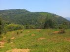 Land for Sale Kandy