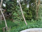 Land for Sale Kandy