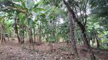 Land for Sale Kandy
