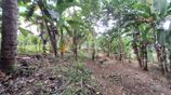 Land for Sale Kandy