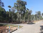 Land for Sale Kandy
