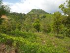 Land for Sale Kandy Hedeniya