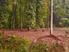 Land for Sale - Kandy, Kiribathkumbura