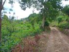 Land for Sale Kandy Kurunegala Road