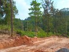 Land for Sale Kandy Kurunegala Road