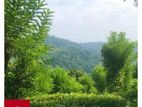 Land For Sale Kandy Peradeniya Post Office( Dsp 686 )