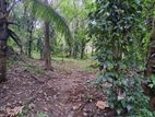 Land For Sale Kandy Polgolla