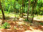 Land for Sale Kandy - Sinharagama