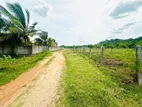 Land for Sale – Kanniya -Infront of ATI & Chief Secretary office