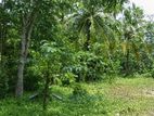 Land For Sale - kanthale