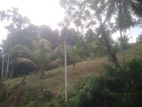 Land for Sale Karadupana