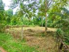 Land for Sale - Karandeniya